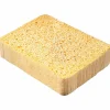 Cellulosasvamp