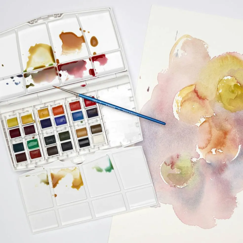 Cotman Painting plus akvarellfärg