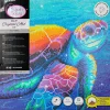 Crystal Art Kits Canvas Imagine Rachel Froud