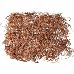 Curly moss