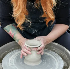 Drejskiva Shimpo Whisper