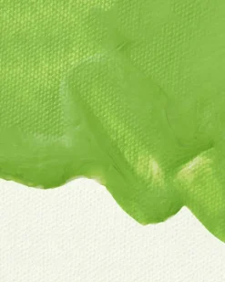 Liquitex bio based matte medium