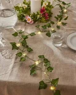 Ljusslinga Ivy